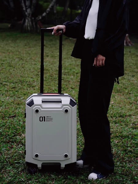 Classy 20-inch Luggage