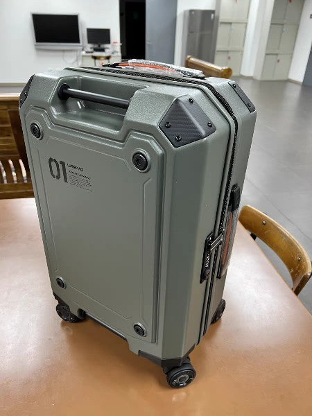 Classy 20-inch Luggage