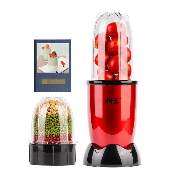 220V Multifunctional Electric Mini Juicer