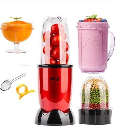 220V Multifunctional Electric Mini Juicer