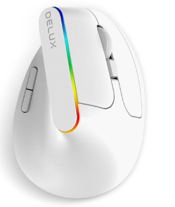 DELUX Ergonomic Wireless Mouse