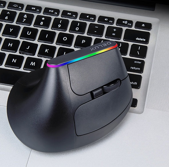 DELUX Ergonomic Wireless Mouse