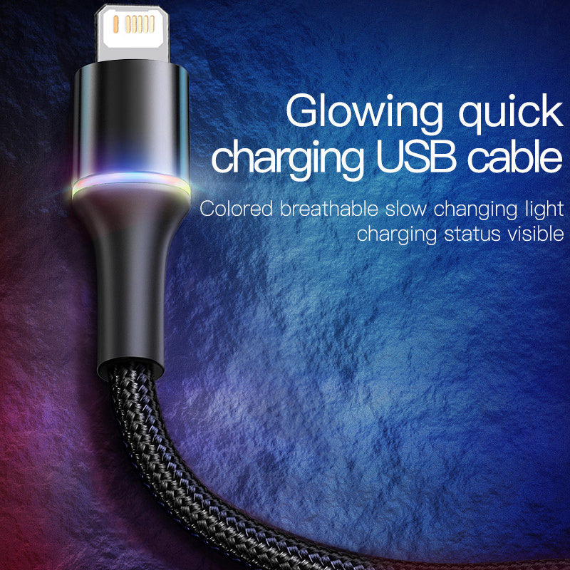 Baseus USB to Lightning iPhone Fast Charging Cable